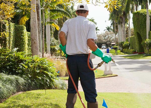 About Ijamsville MD Pest Control